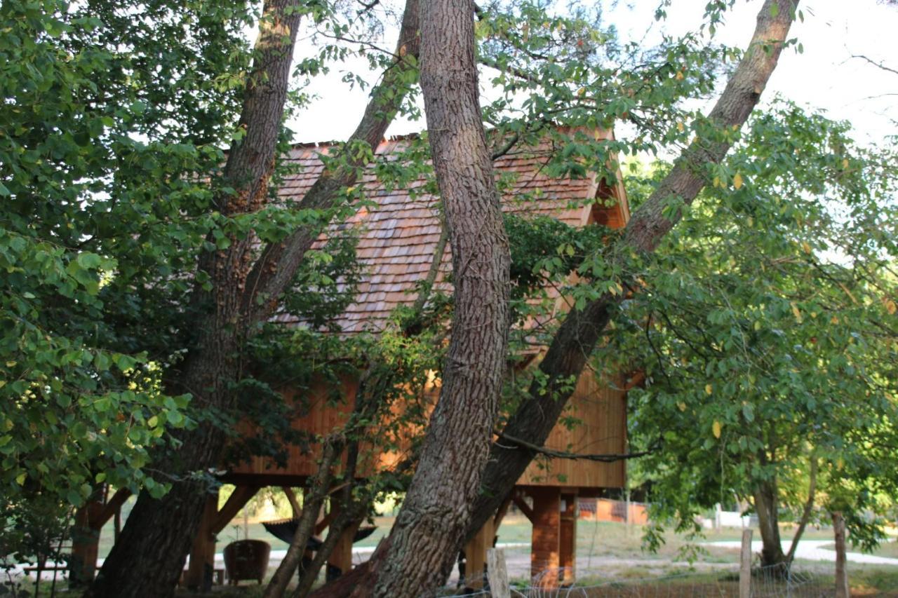 Ecolodge Beauregard Treigny Exterior photo